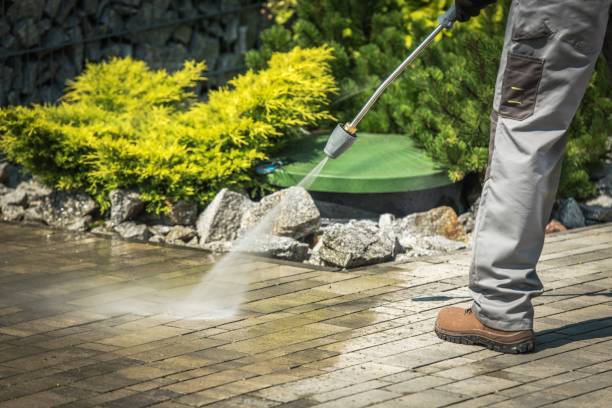 Best Building Exterior Washing  in Monte Vista, CO