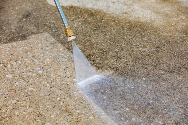 Best Gutter Cleaning  in Monte Vista, CO