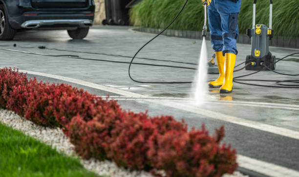 Professional Pressure Washing in Monte Vista, CO